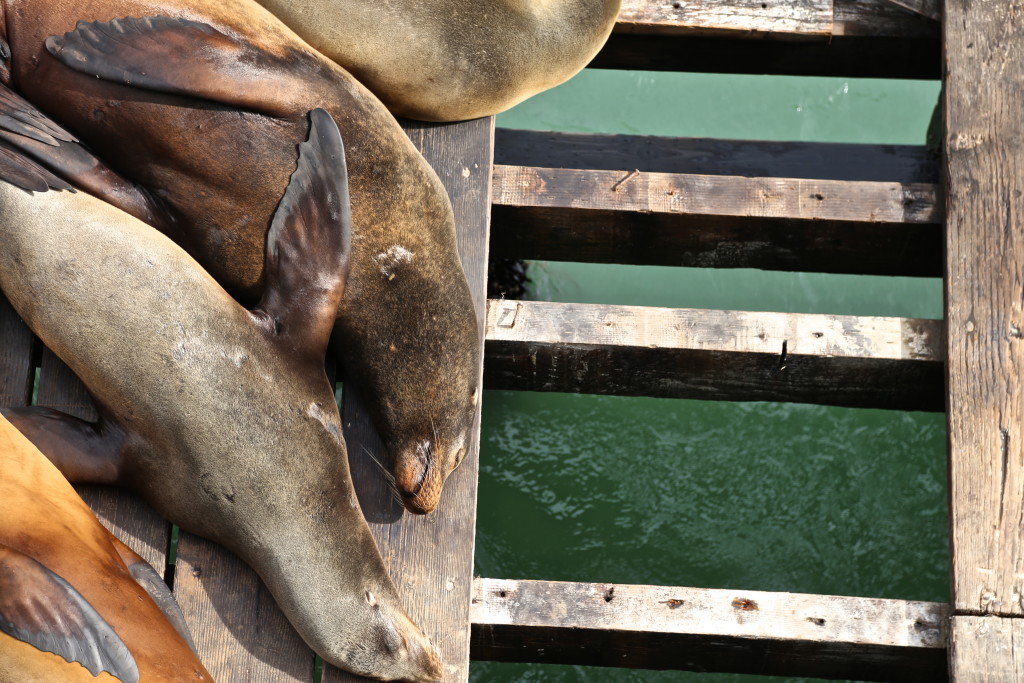 santa-cruz-californie