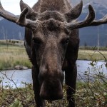 Hey you  On ne pouvait pas faire plus clichhellip