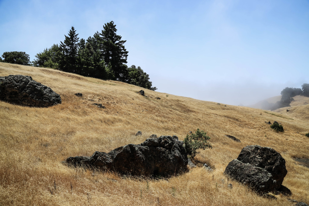 mount-tamalpais-san-francisco