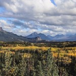 Fall is coming  les arbres ont dj revtus leurhellip